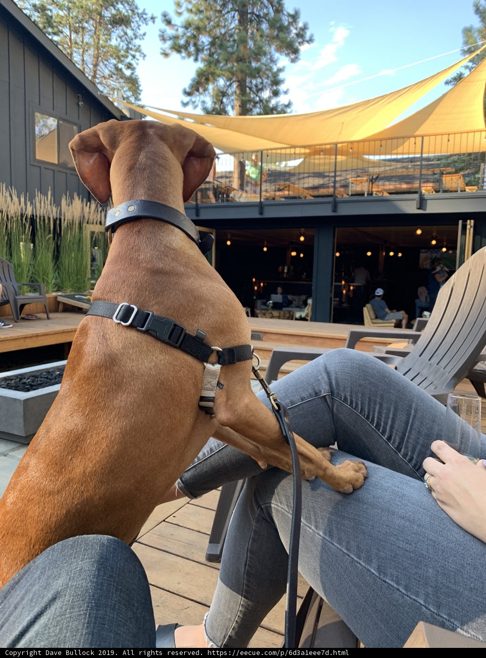 Relaxing with My Best Friend