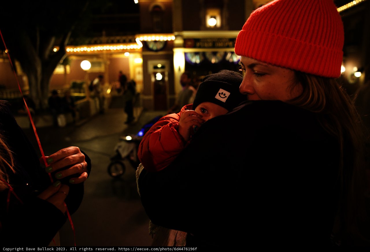 Cherished Moments at Disneyland