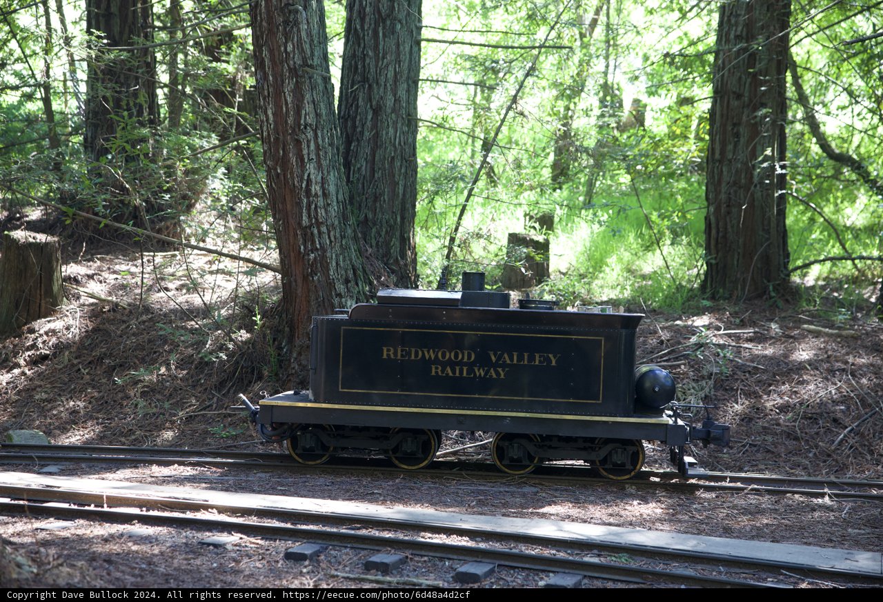 Journey Through the Greens: Redwood Valley Railway