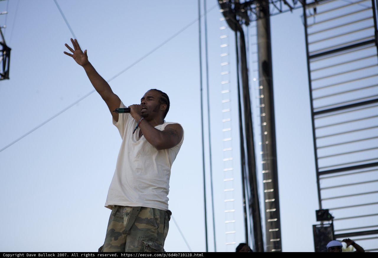 Hands Raised in the Coachella Sky
