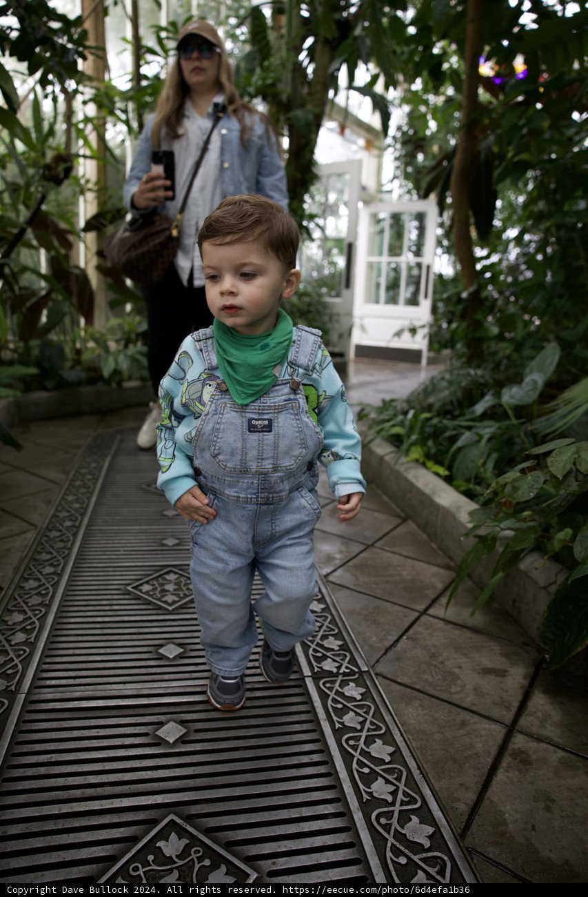 Exploring the Greenhouse: Youthful Wanderings at the Conservatory of Flowers