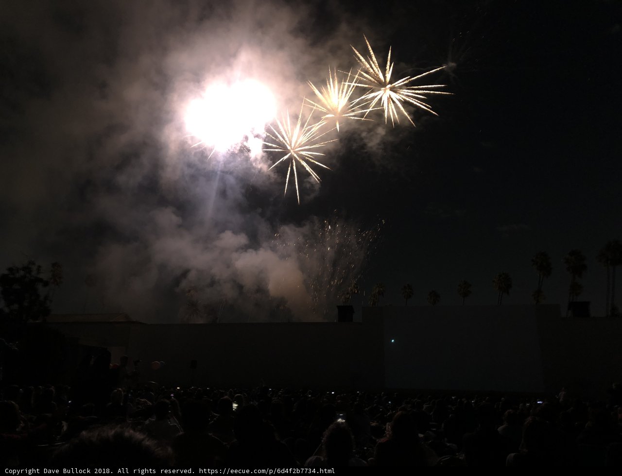 Spectacular Fireworks Display Over Enthusiastic Crowd