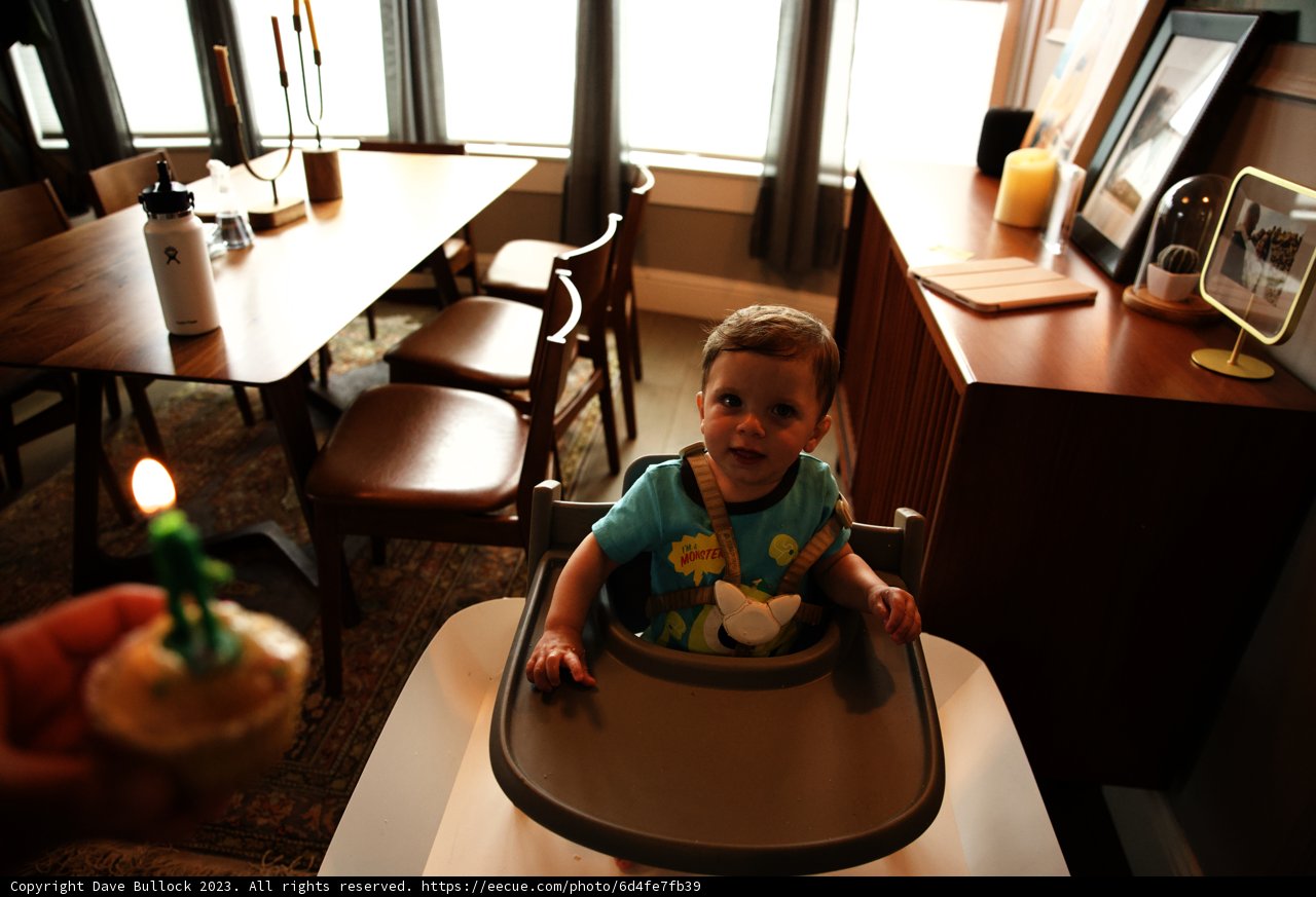 Wesley's First Birthday Extravaganza