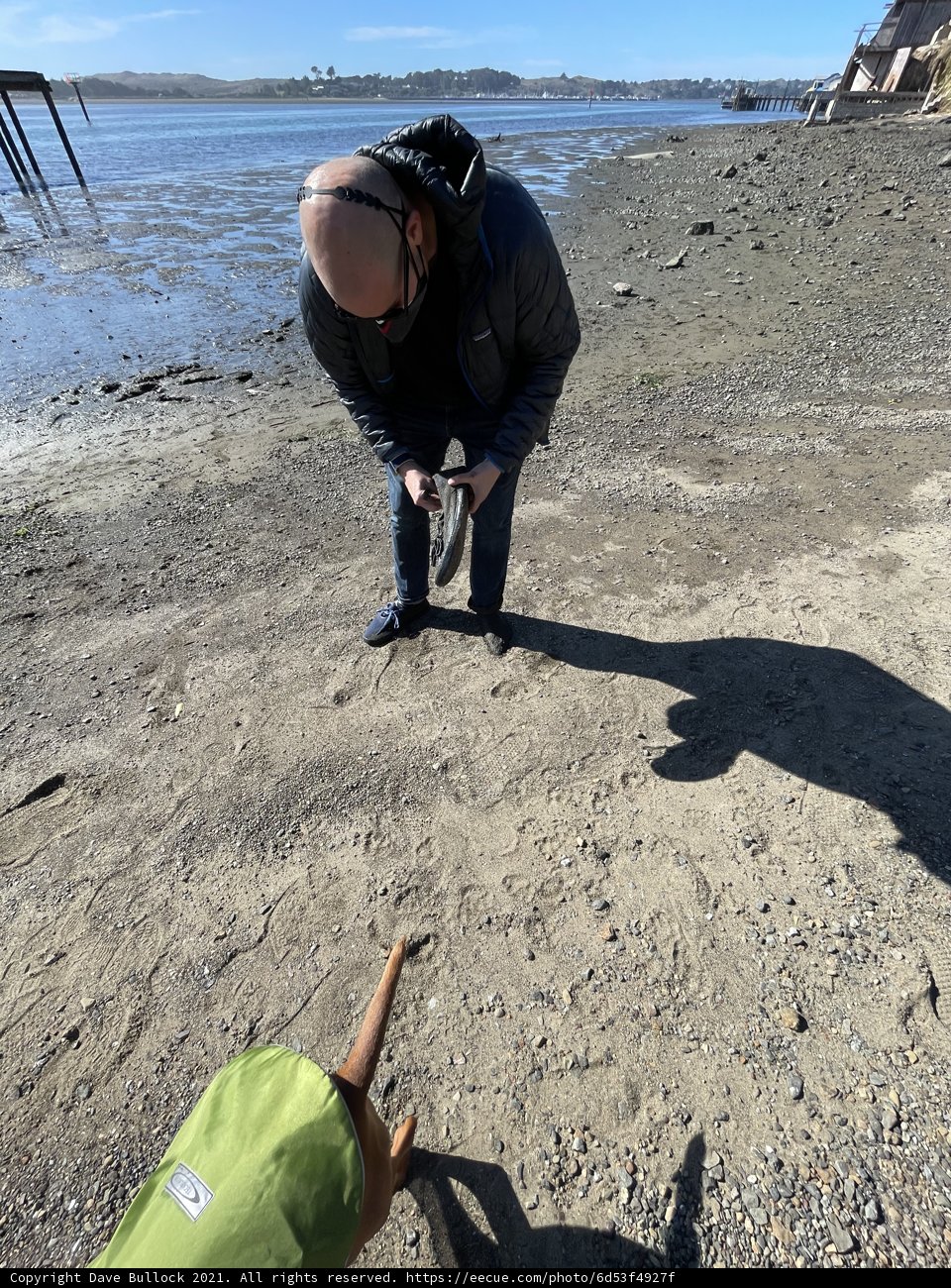 A Man and His Best Friend at Bodega Bay Beach