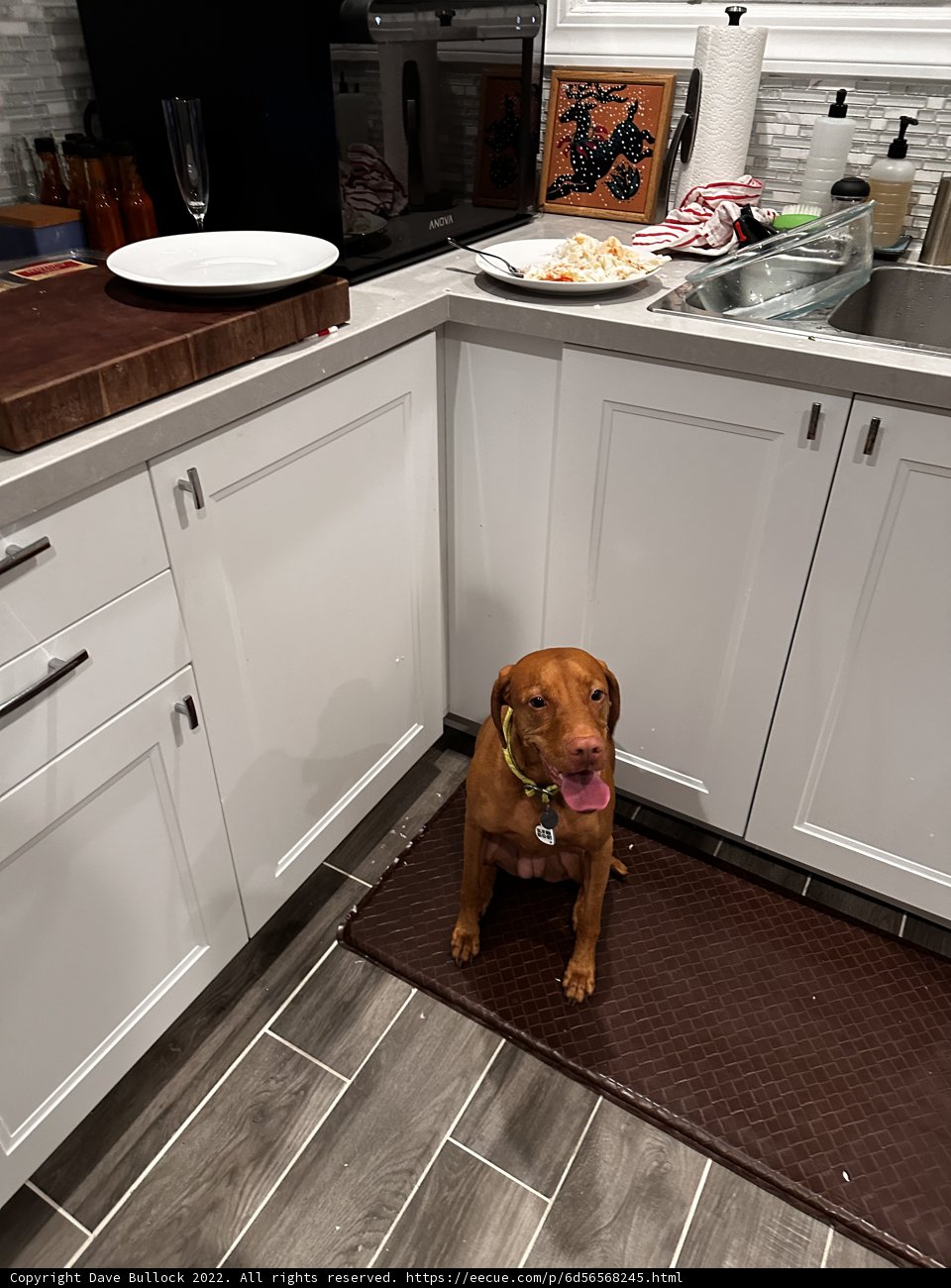 Kitchen Companion