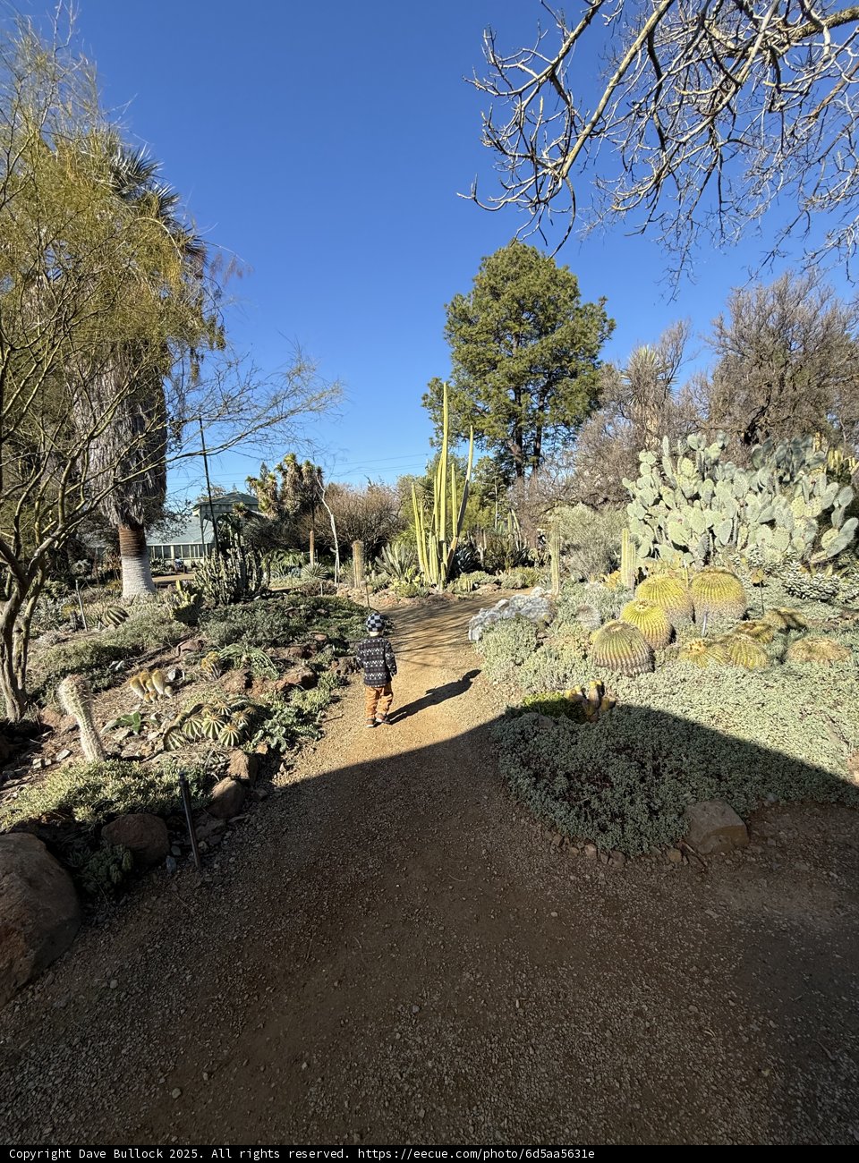 A Stroll Through Nature’s Tapestry