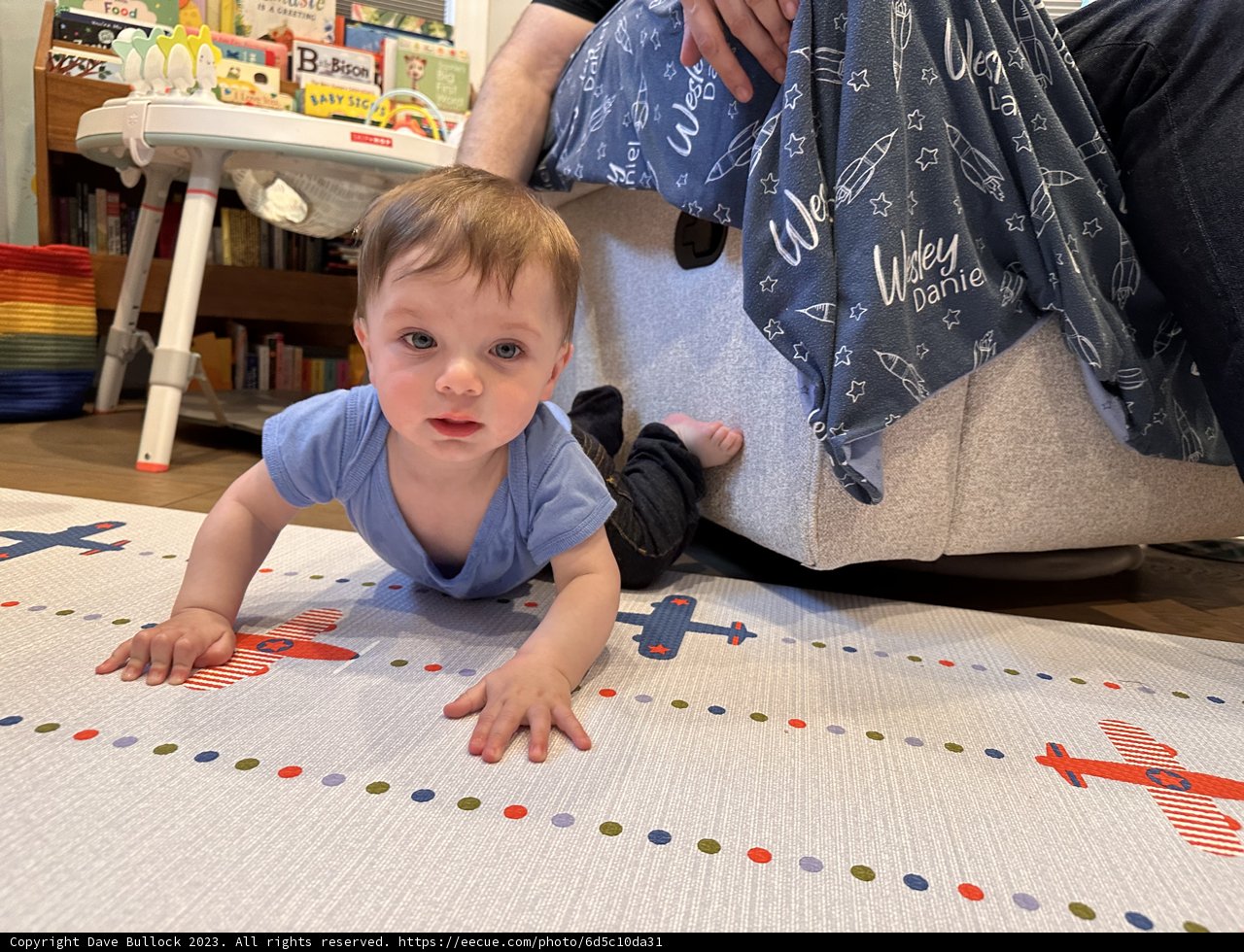 Wesley's Colorful Crawling Adventure