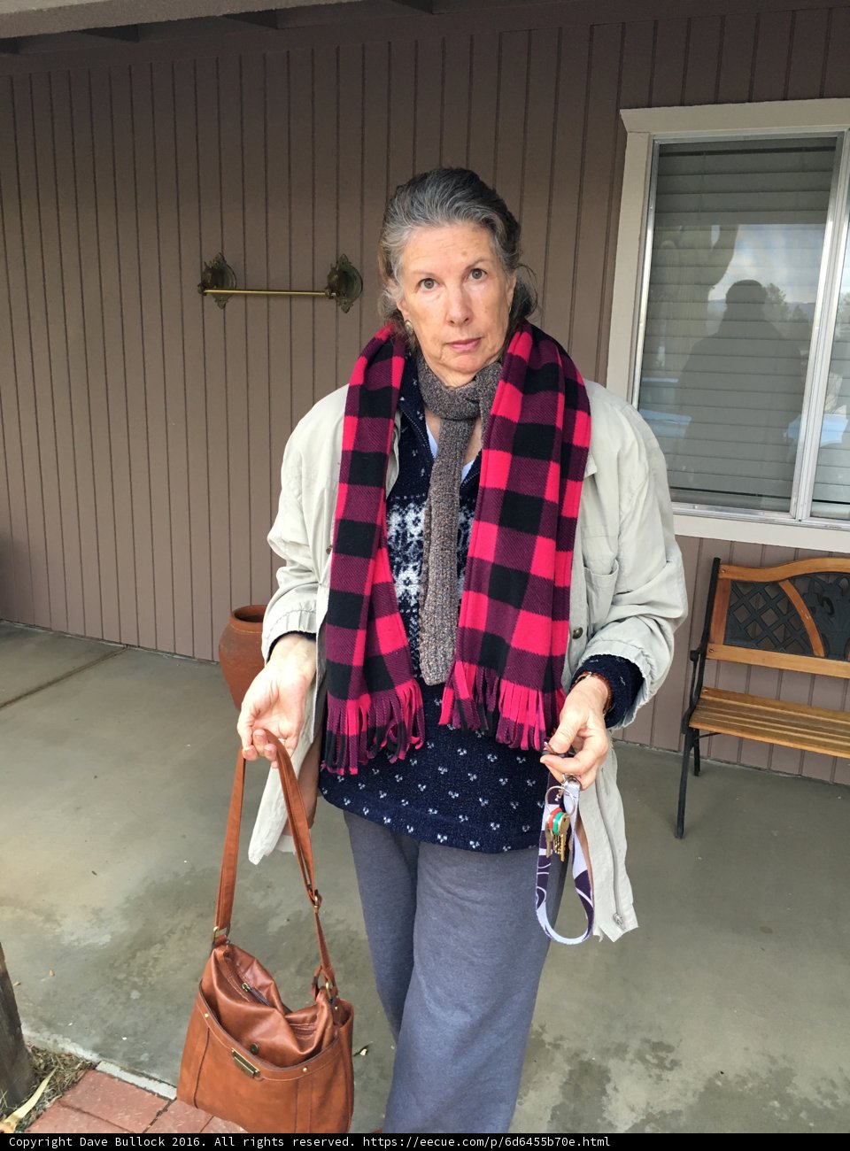 Fashionable Rhoda in Plaid