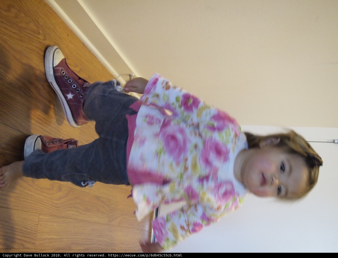 Little Girl on Hardwood Floor