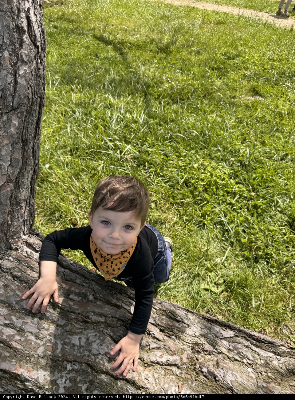 Little Explorer in Piper Park