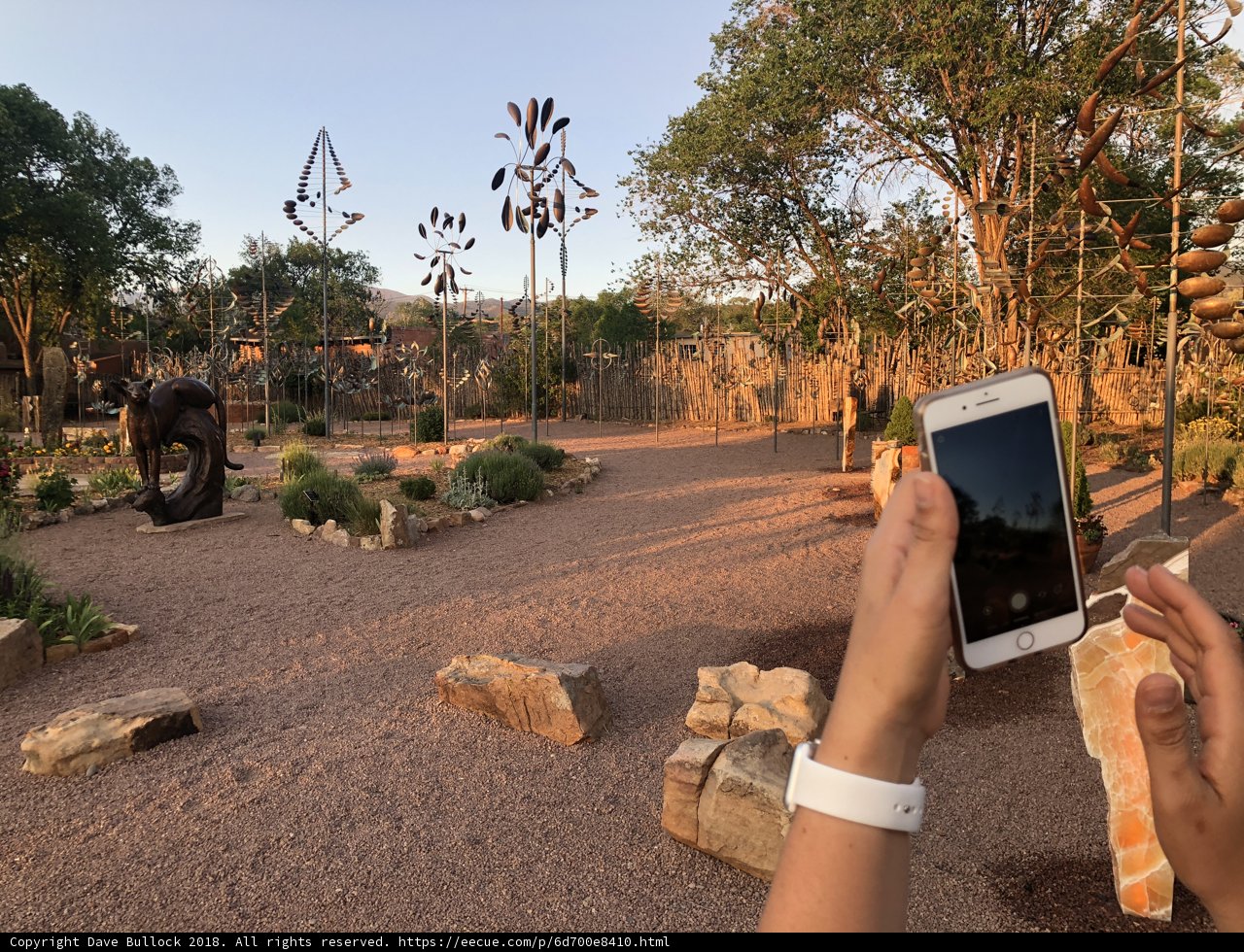 Capturing Nature's Beauty