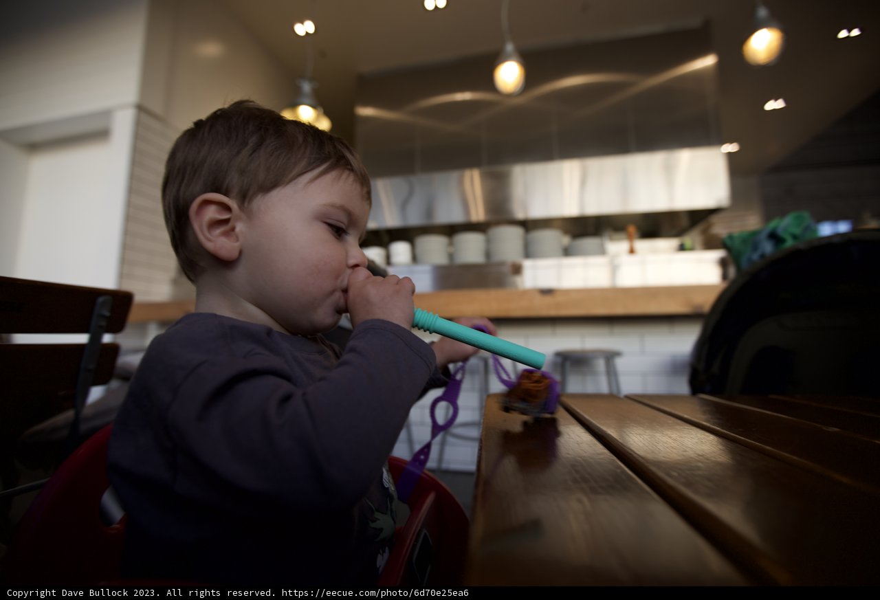 Daily Rituals: Hygiene and Playtime