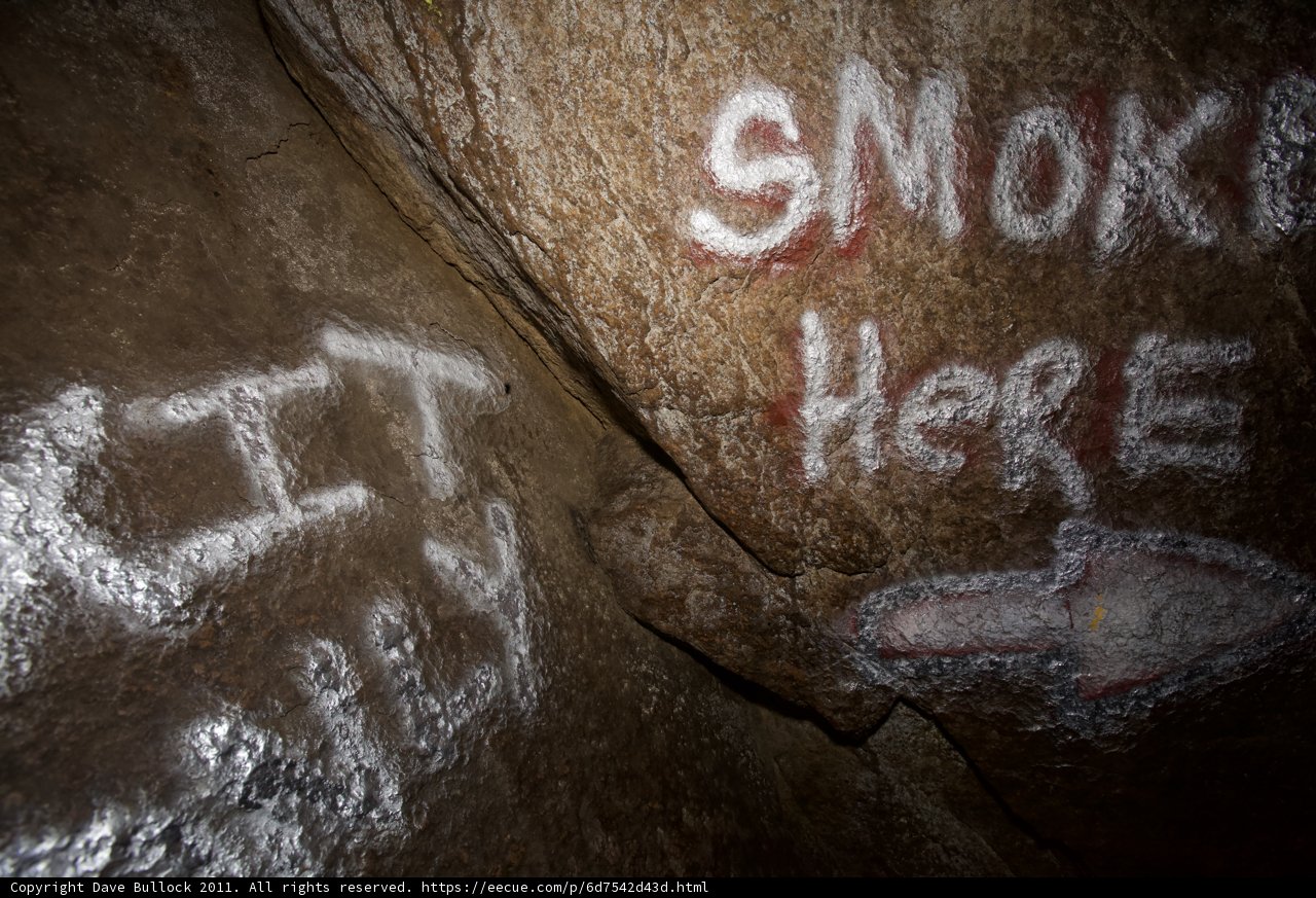 Graffiti Tribute to Smokey the Bear