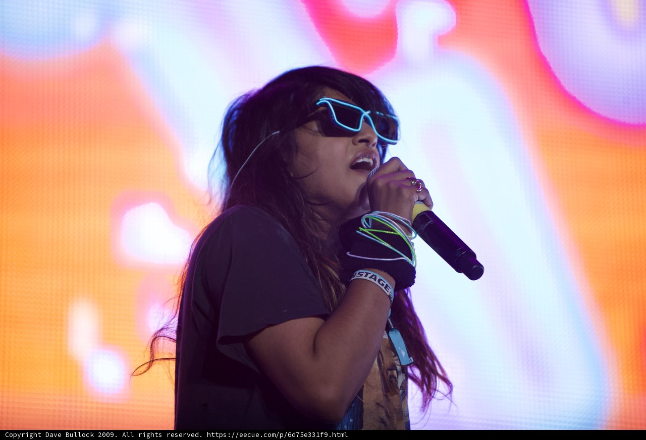 Coachella 2009 Singer with Sunglasses and Mic