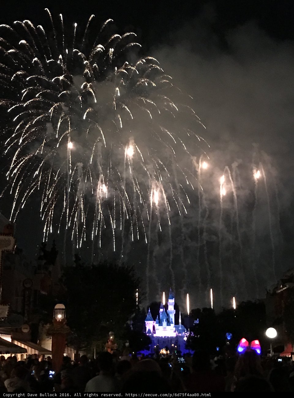 Disneyland Fireworks Spectacle Lights Up the Night Sky