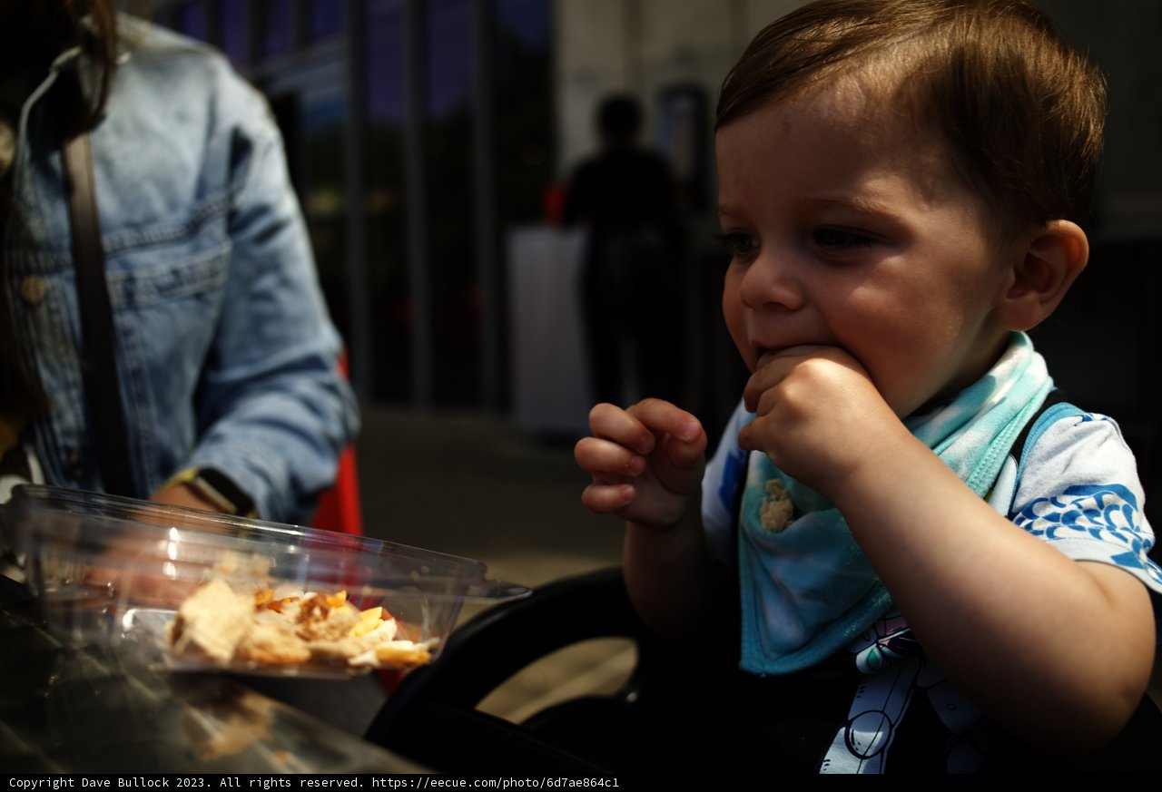 Tiny Tastes: Baby's First Restaurant Experience