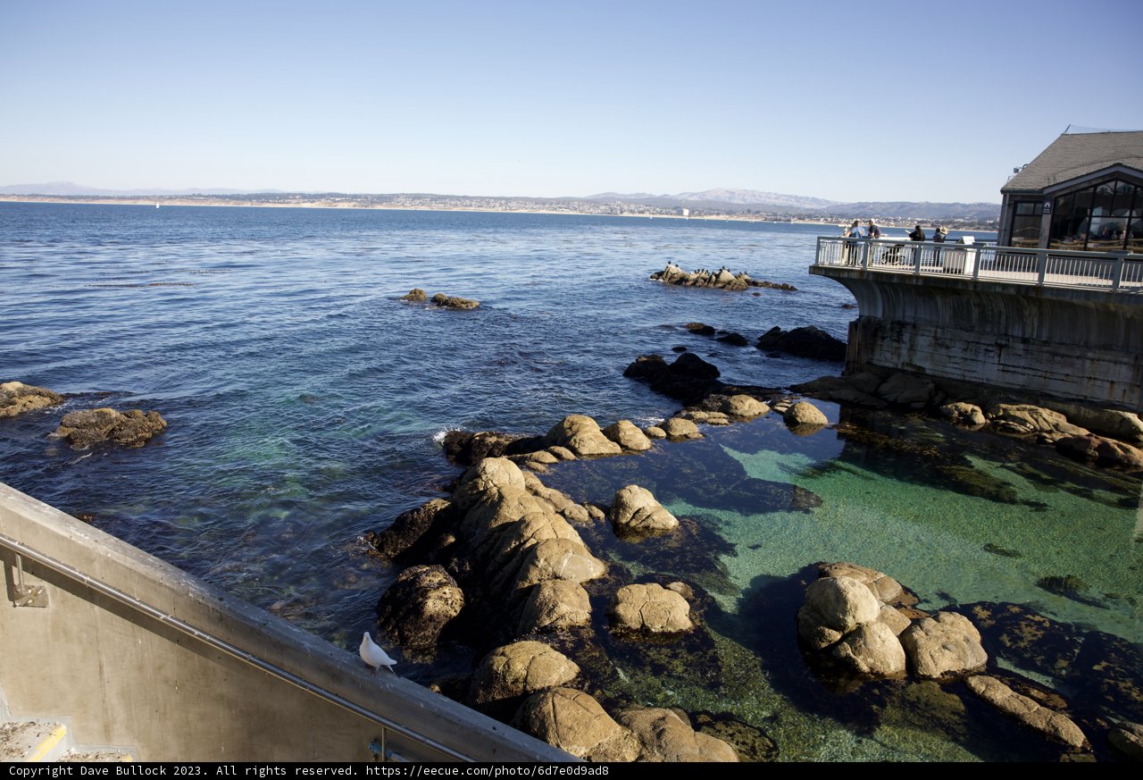 Transcendent Tranquility: A Glimpse of the Ocean