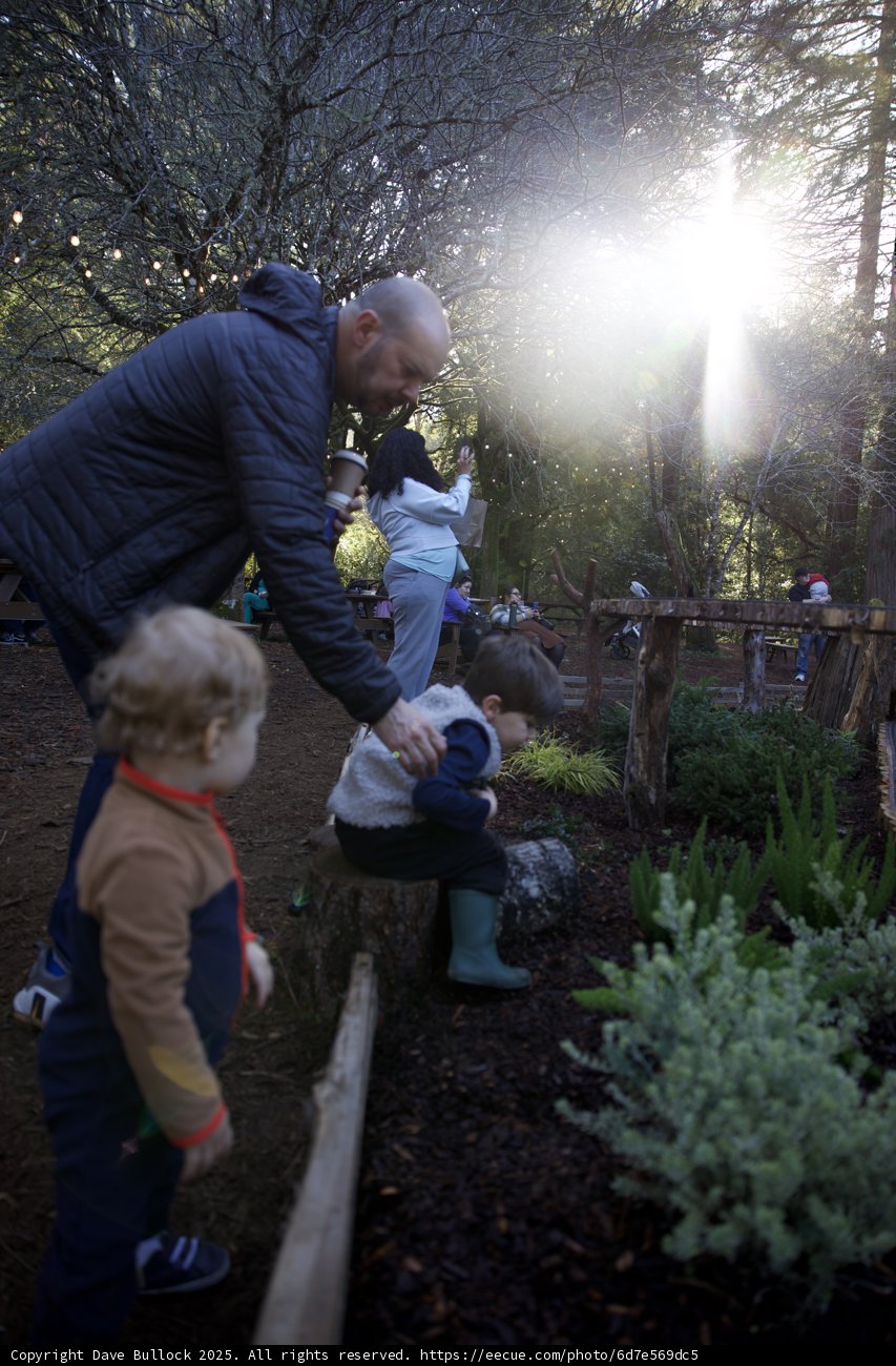 Sunlit Garden Moments