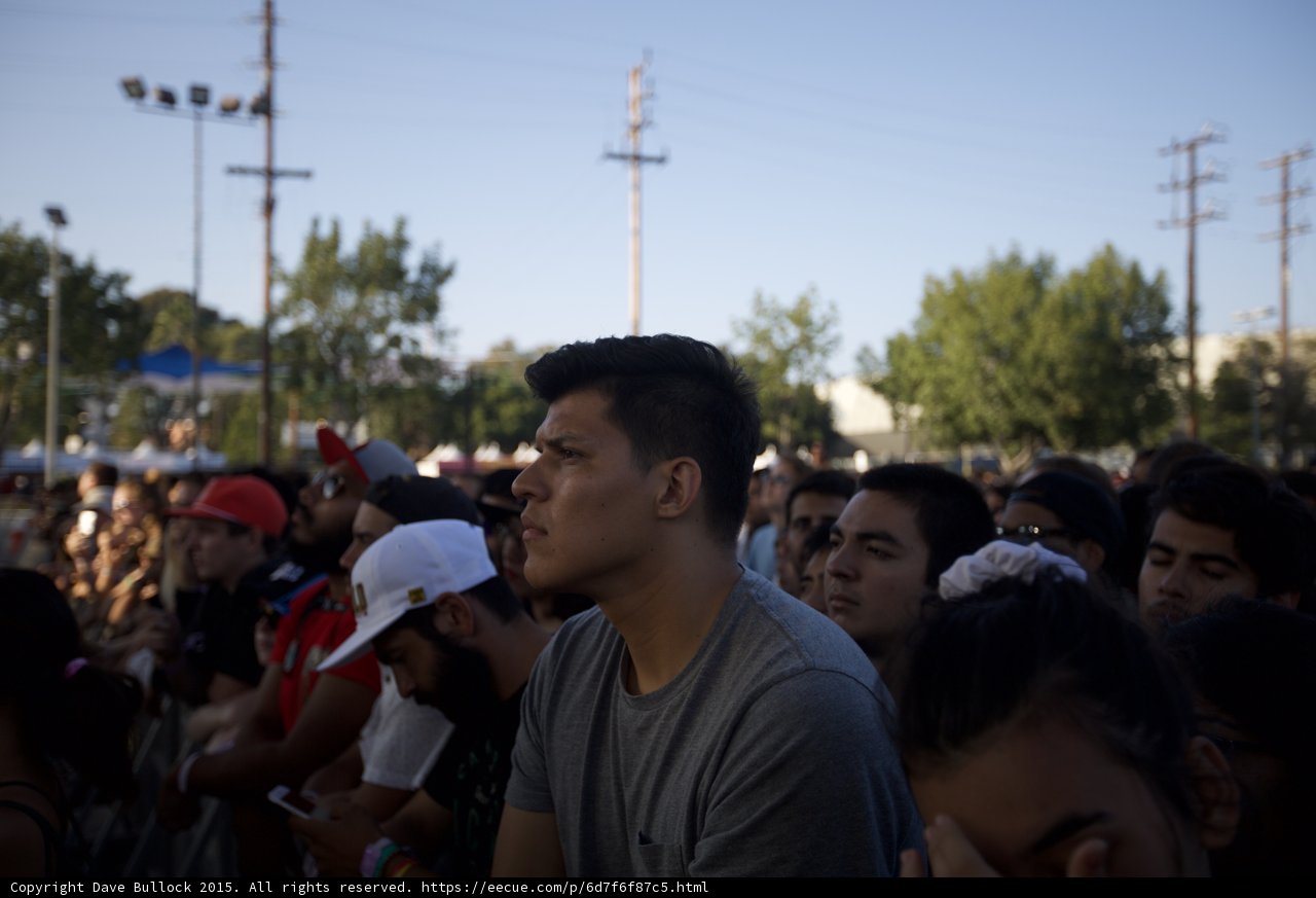 Profile in the Crowd