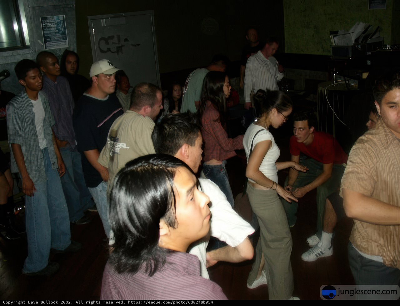 Nightclub Crowd