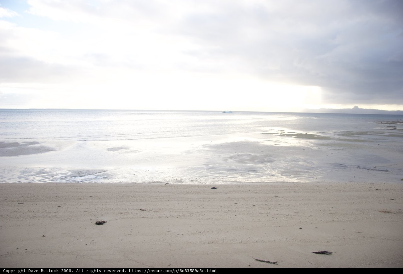 Surfer's Paradise