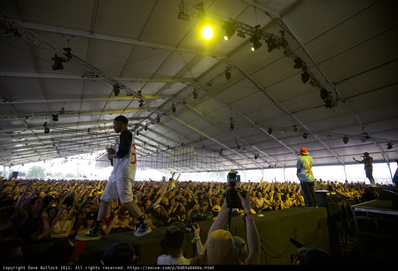 Coachella 2011: The Spotlight on the Crowd