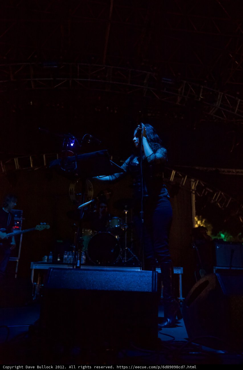 Rocking the Stage at Coachella
