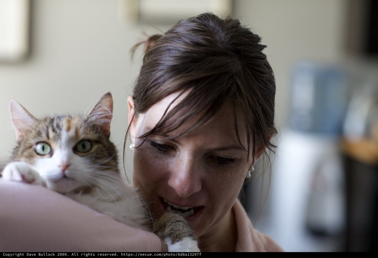 Woman and Tabby Cat Share a Tender Moment