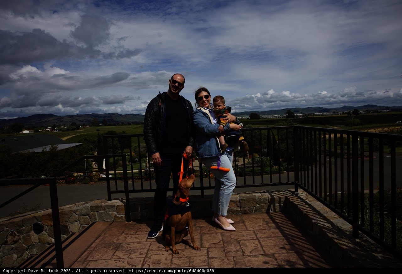 Cherished Memories at Bouchaine Vineyards