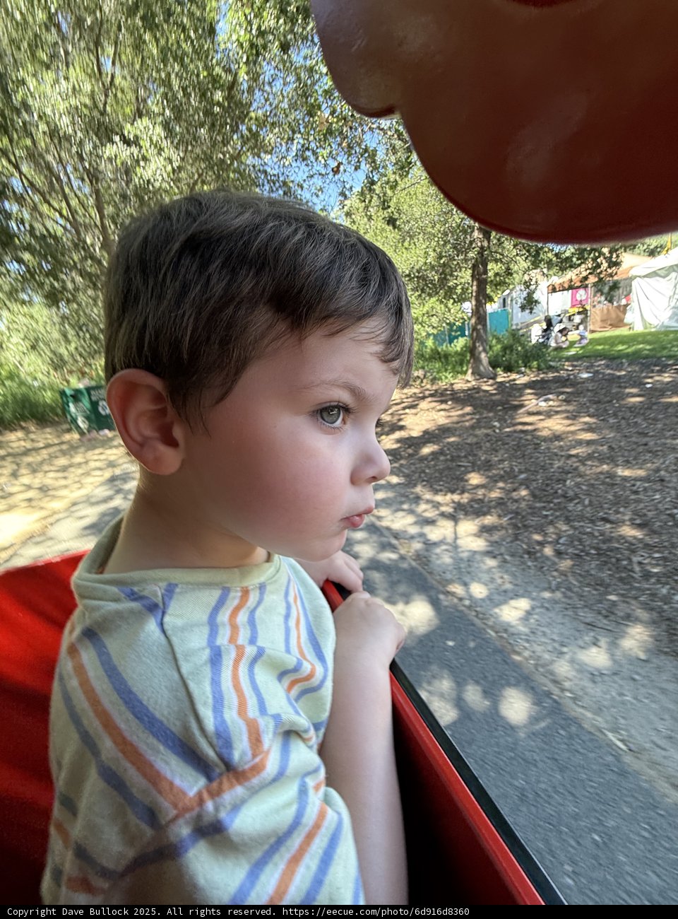 Daydreams in the Park