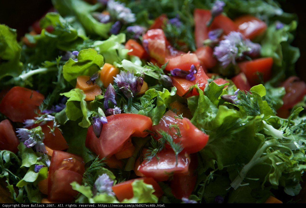 Garden Fresh Salad