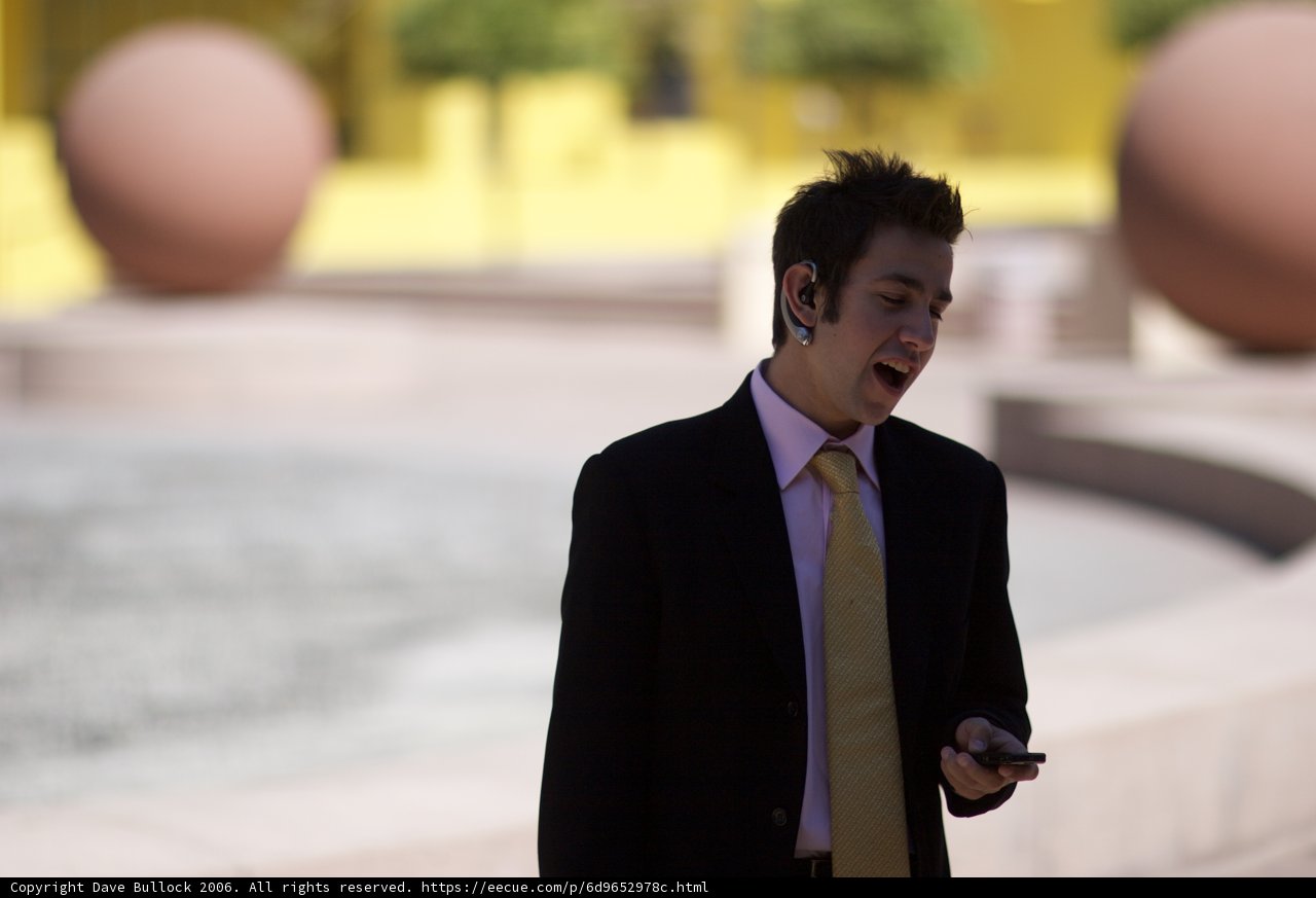 Formal Business Calls