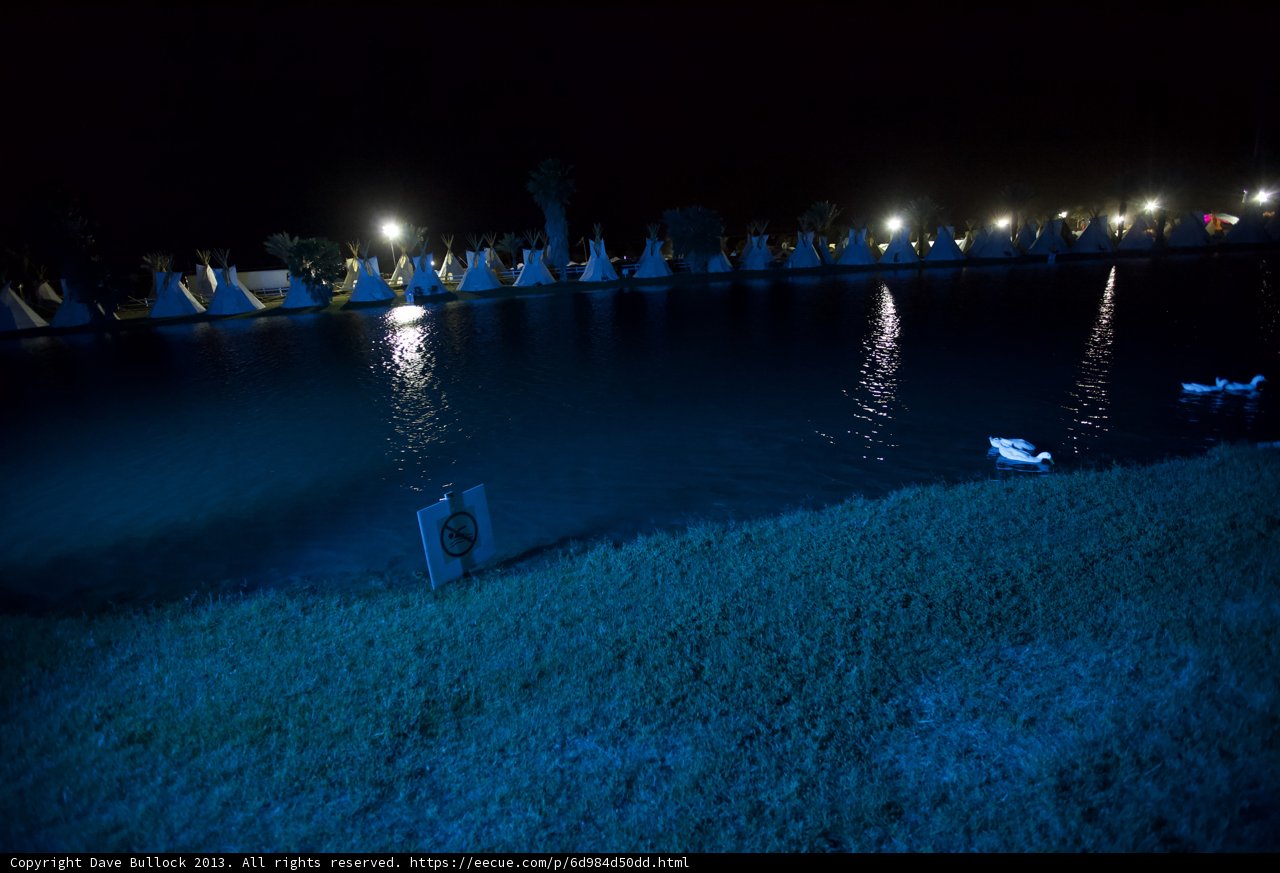 Night Boating with a Feathered Friend