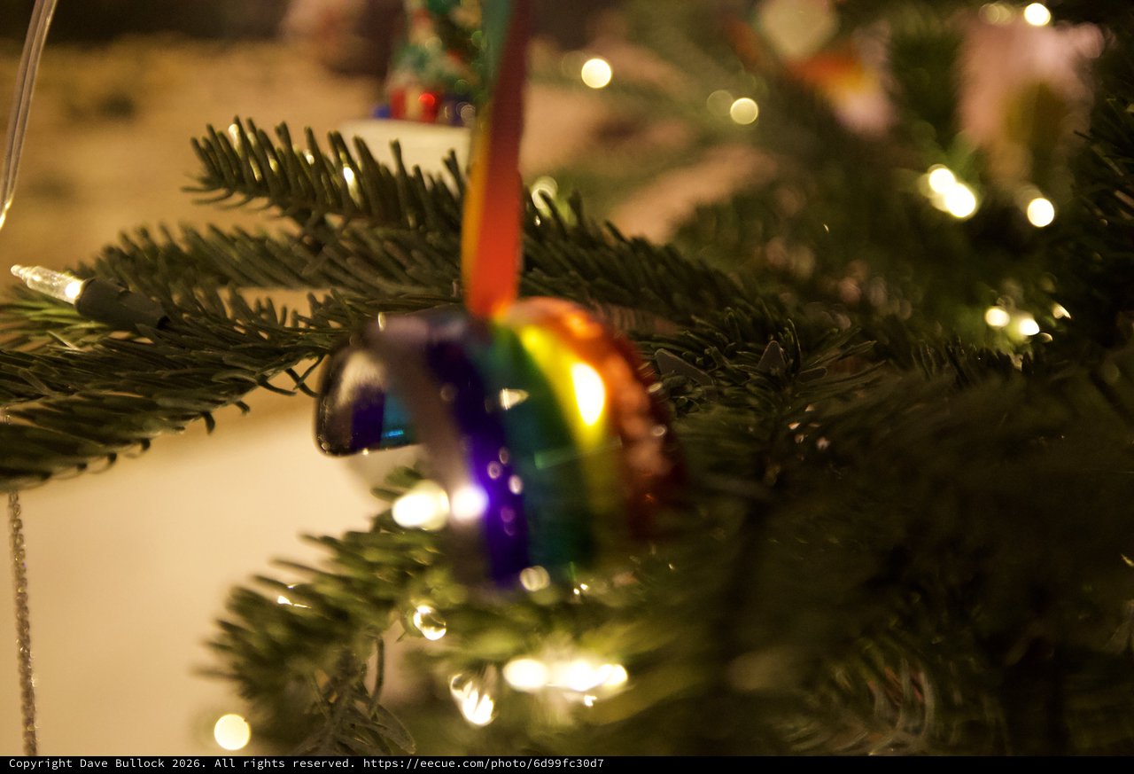 Rainbow Ornament Nestled in Evergreen Christmas Tree