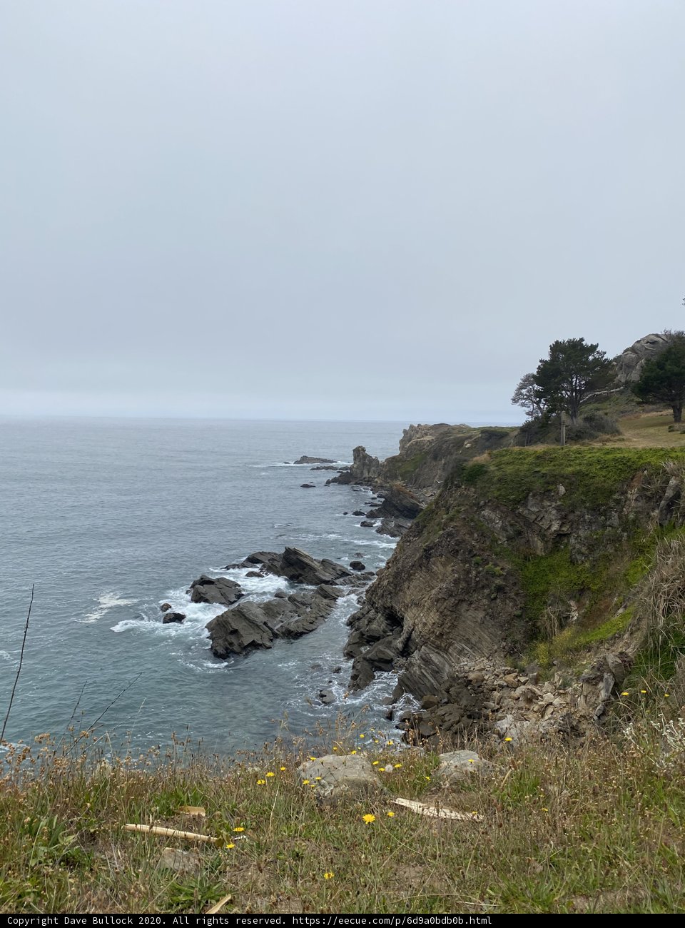 Promontory View of the Majestic Pacific