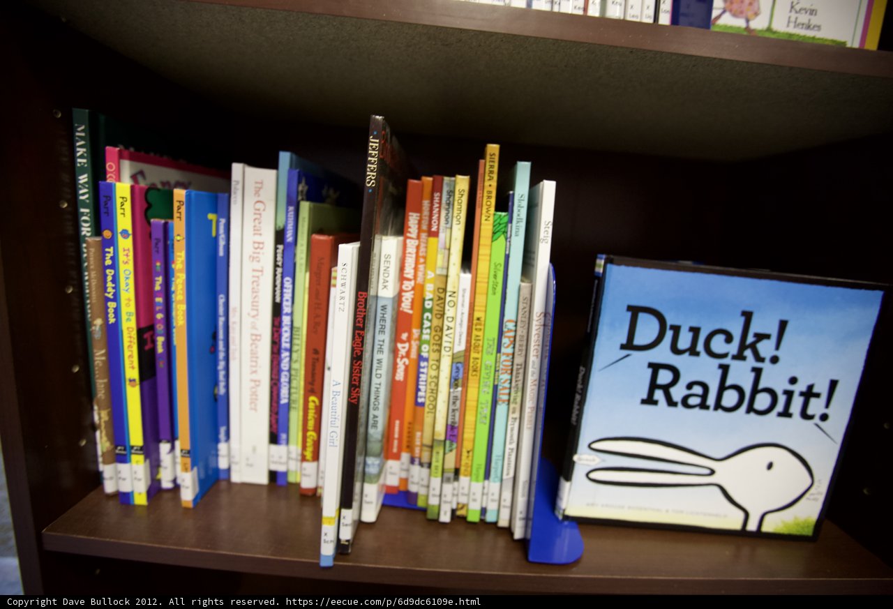 The Duck Rabbit Books on my Library Shelf