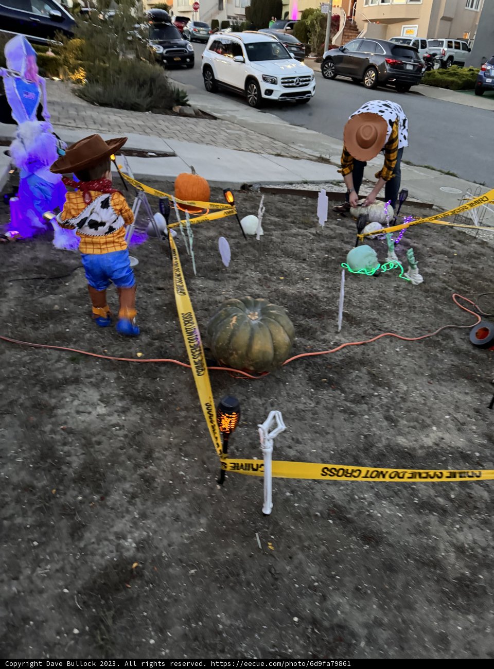 Pumpkin Gathering on the Concrete Jungle