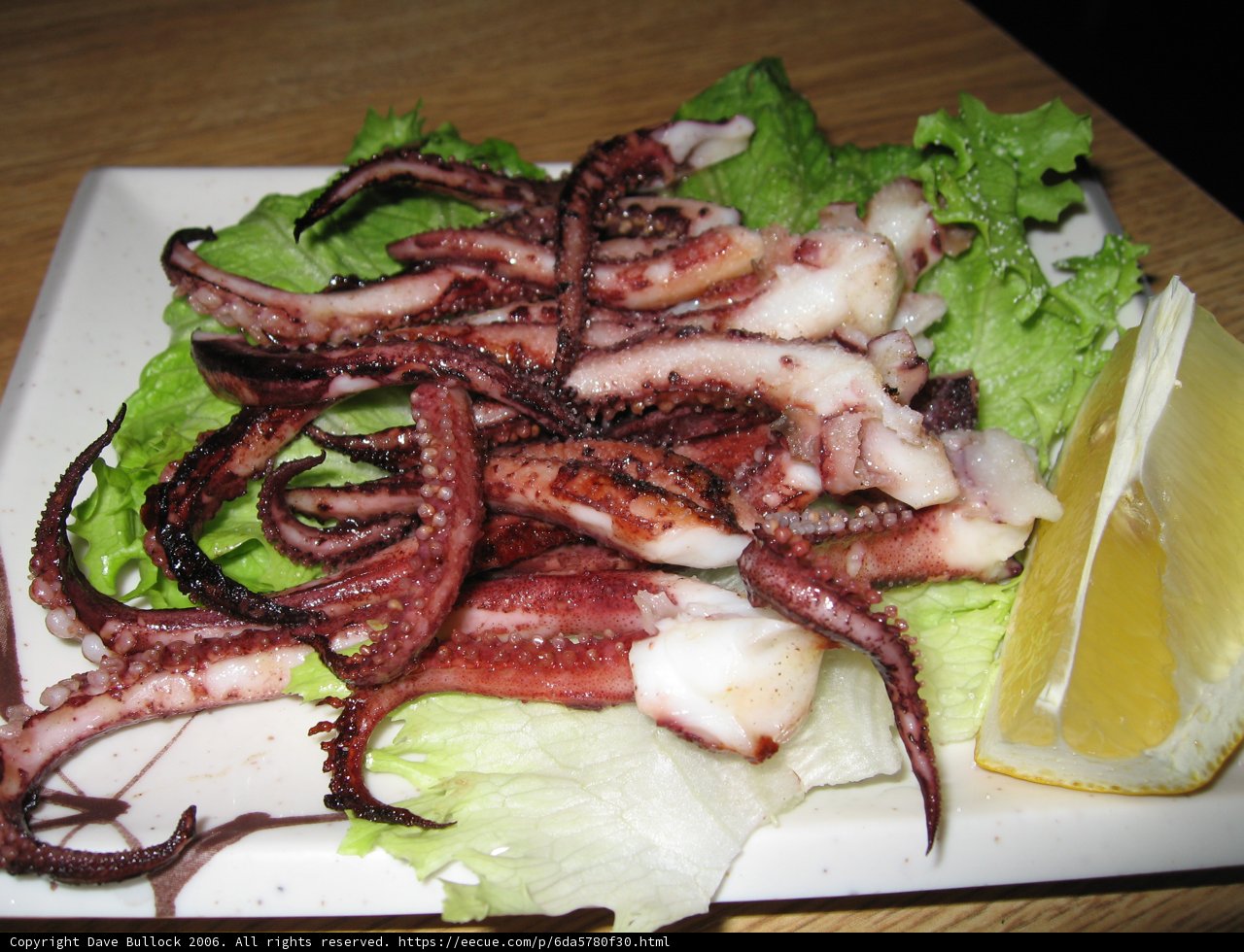 Octopus on a Plate with Lettuce and Lemon