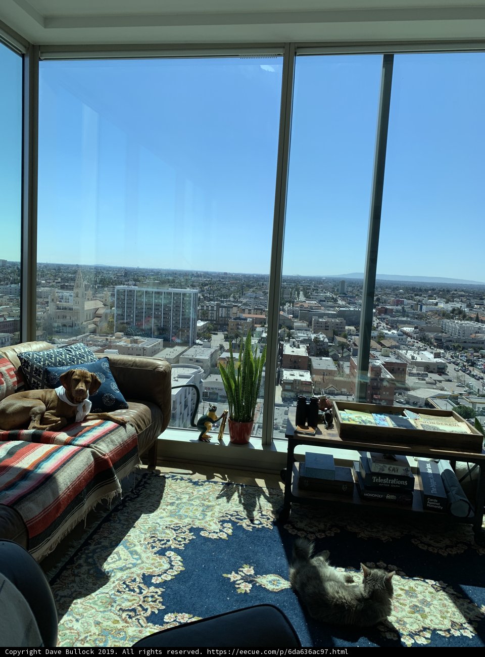A Pooch's Perfect Spot in a Chic LA Penthouse