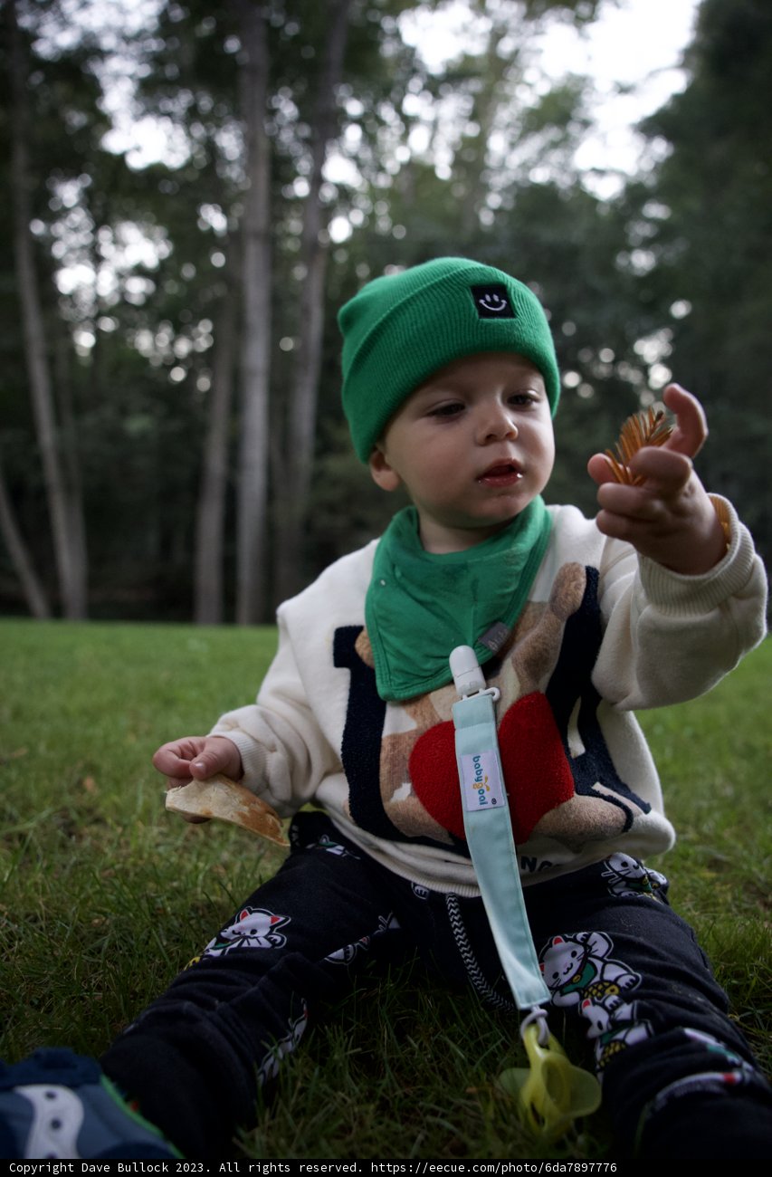 Charming Day Outdoors with Little Explorer Wesley