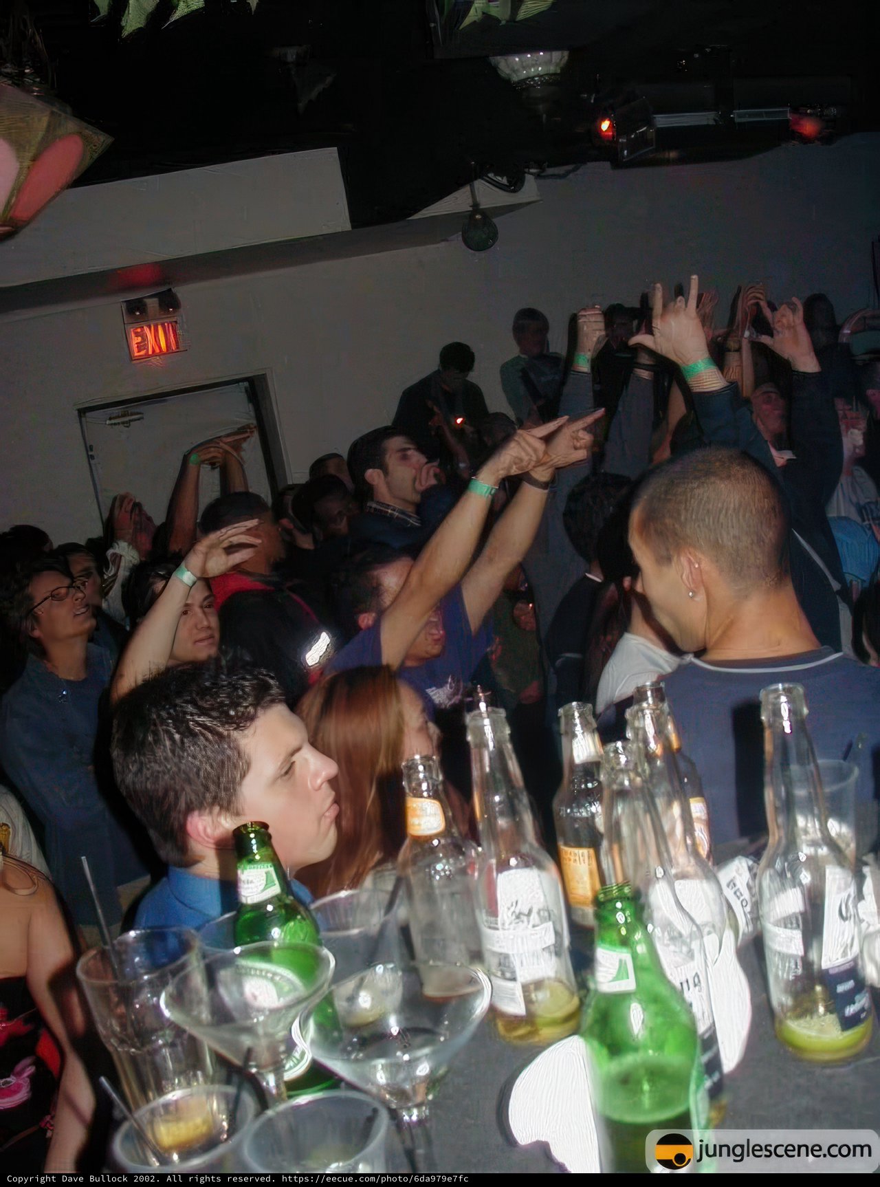 Nightclub Revelry with Friends