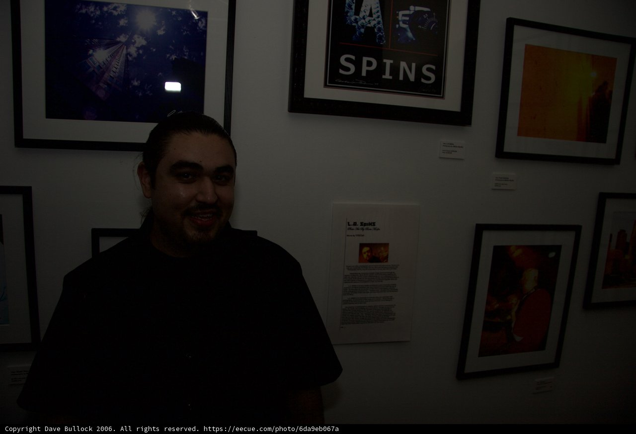 The Art Aficionado