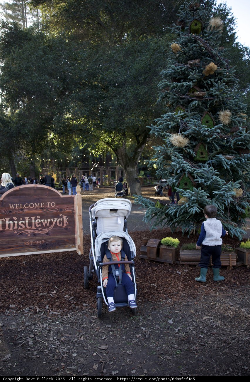 A Day of Wonder at Thistlewyck