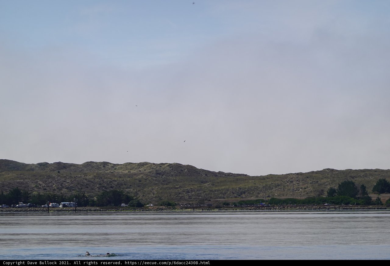 Serene Lake View at Bodega Bay