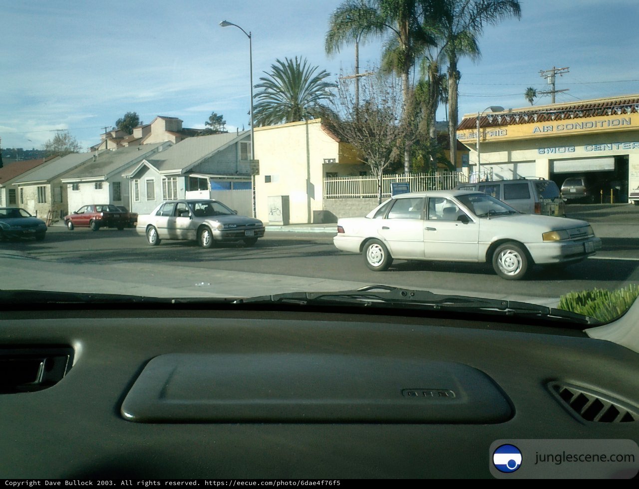 Driving through the Palms