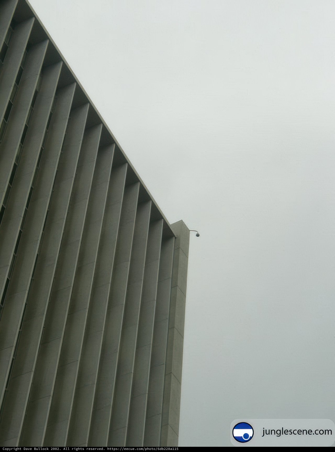 Urban Bird's Eye View