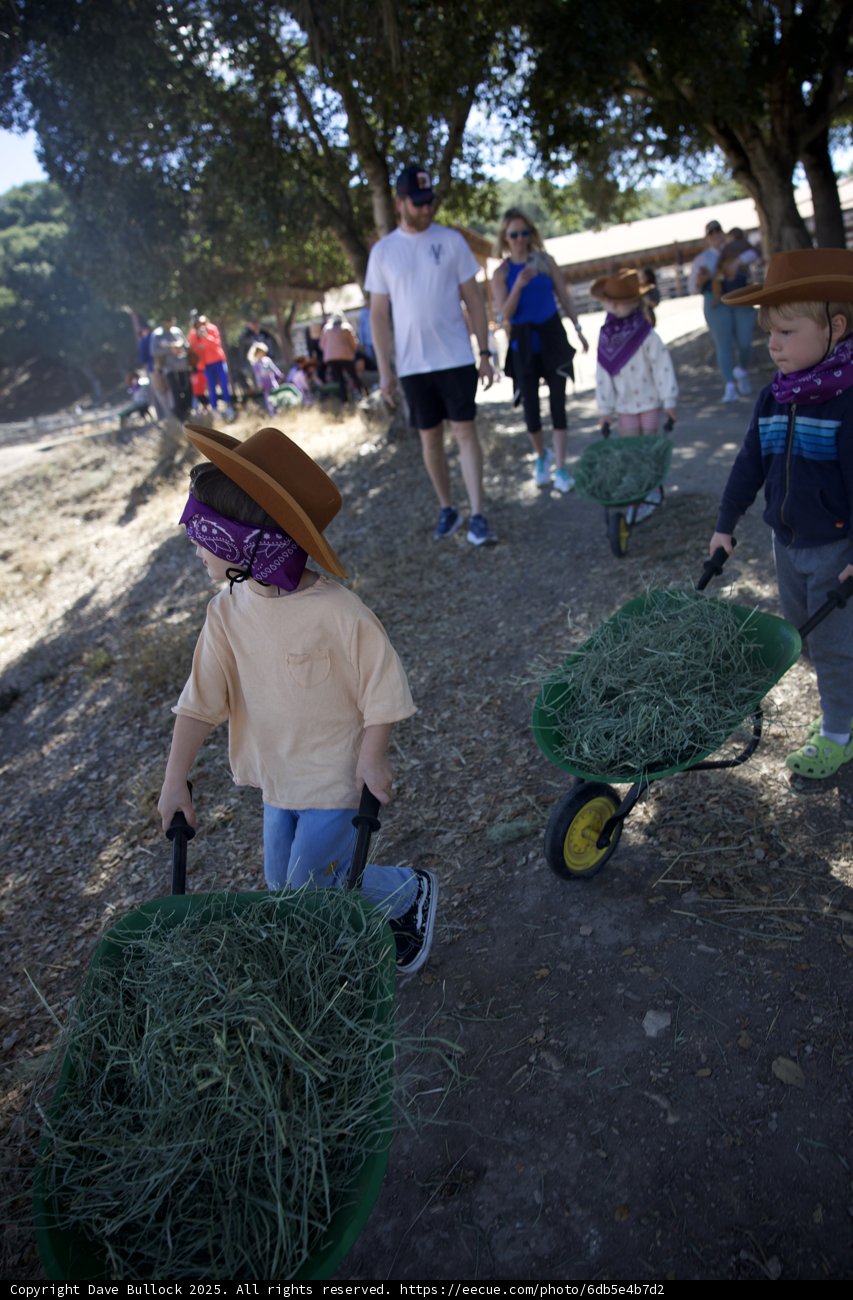 Little Ranchers at Work