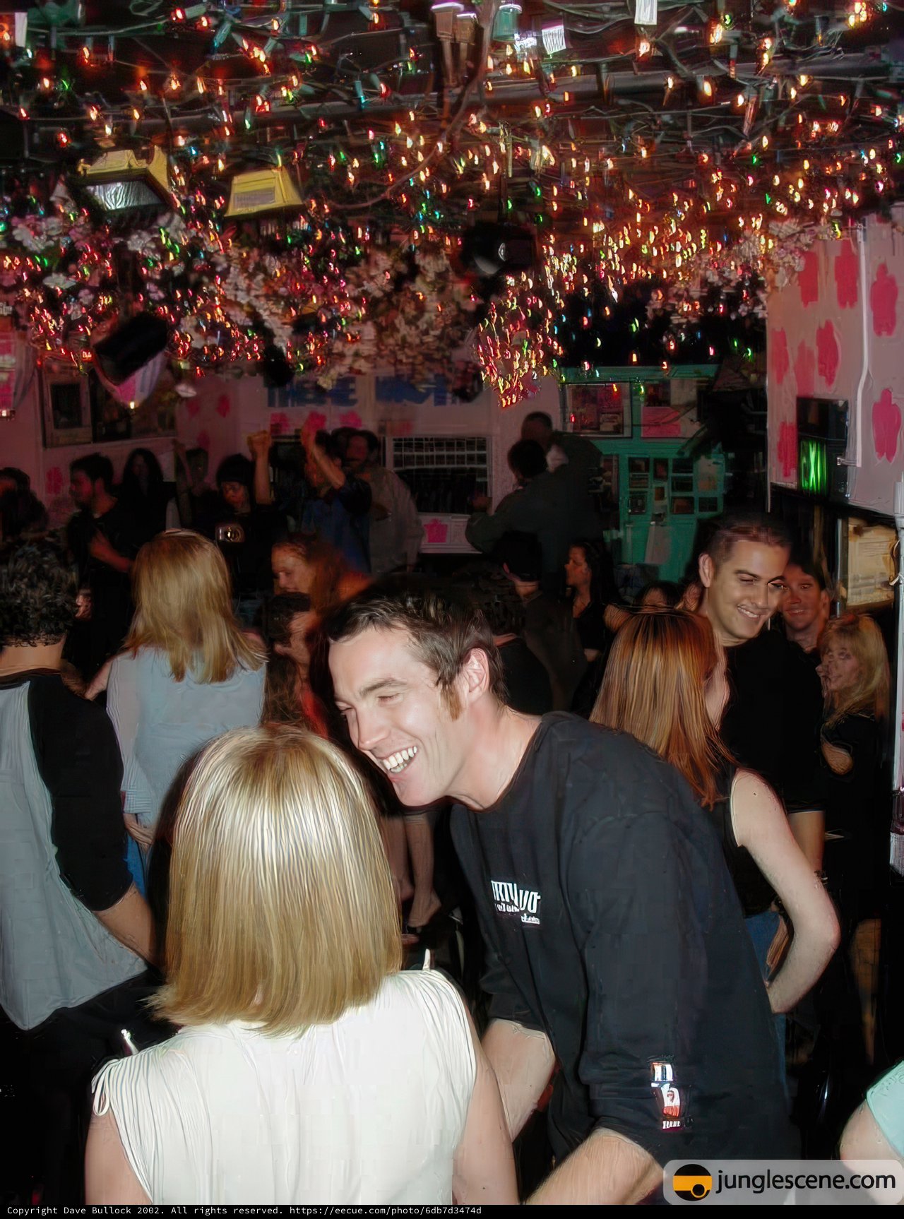 Nightclub Bliss