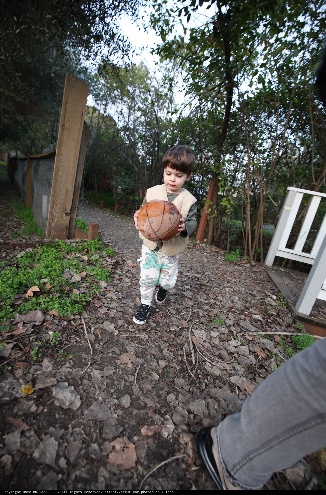 Young Child Playing with Basketball in Garden Path
