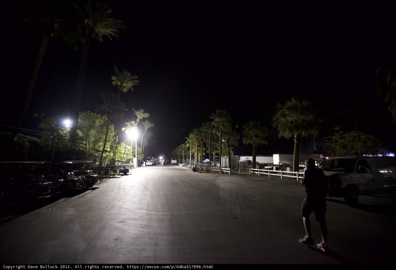 Night Stroll Amongst Palm Trees